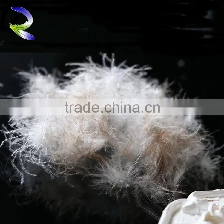 Wholesales high quality down feathers wholesale gray duck feather
