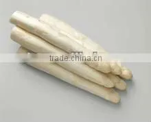Fresh Organic Canned White Asparagus Cut