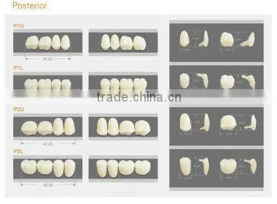 PMMA temporary denture acrylic shell
