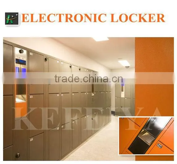 Modern Design Knock Down Double Door Steel Wardrobes