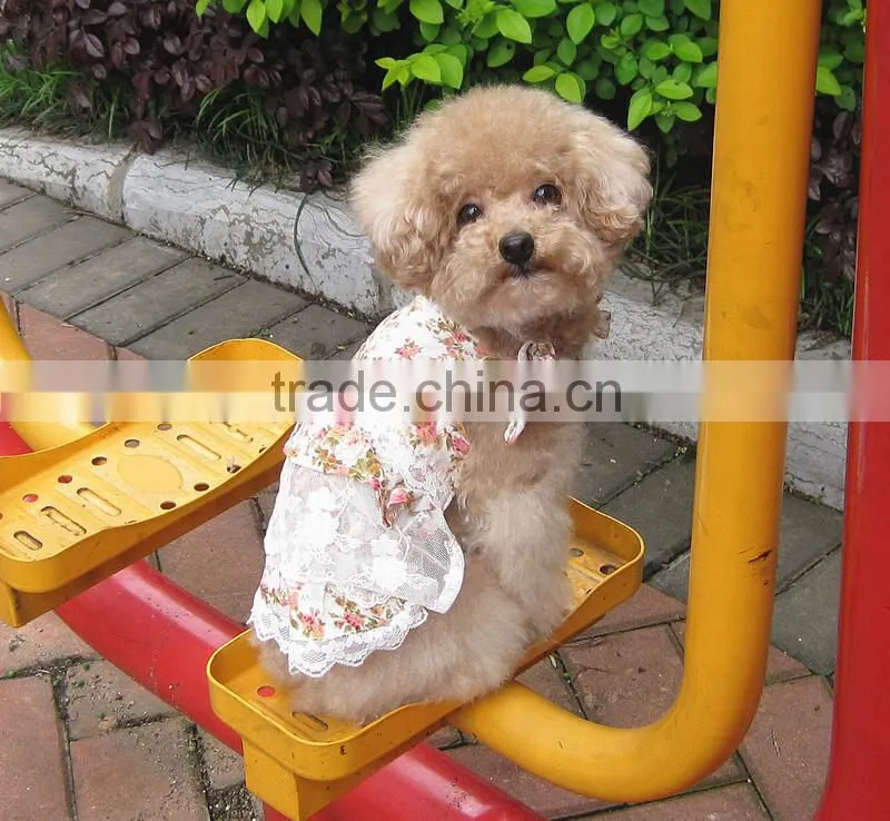 knitting pattern for dog clothes xxx small dog clothes pet clothes