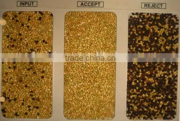 5000+pixel 2016 pepper color sorter with fast detection and high identification rate,pepper grading machine