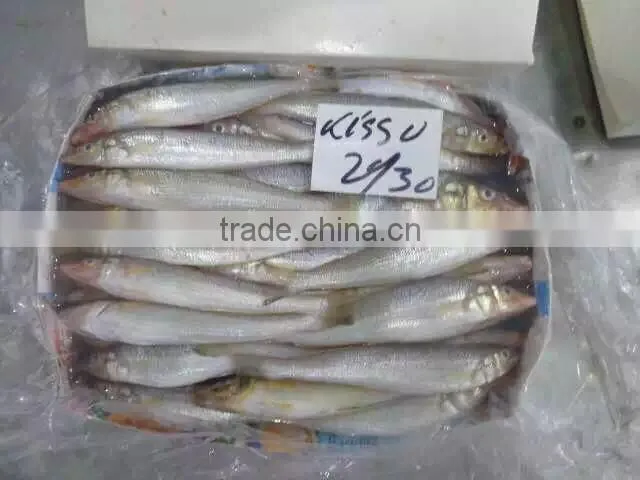 Frozen lady fish/silago shima/silver fish