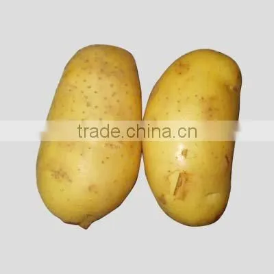 fresh potato buyers
