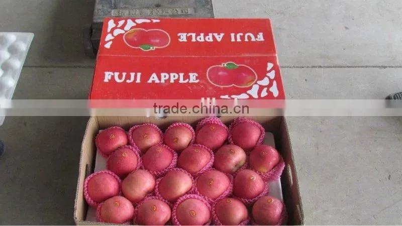 red fuji apple