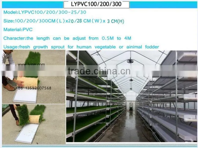Green Roofs hydroponic trays gardening pots green rooftop planters