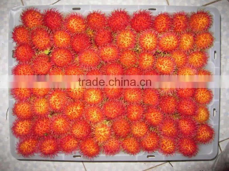Frozen Rambutan