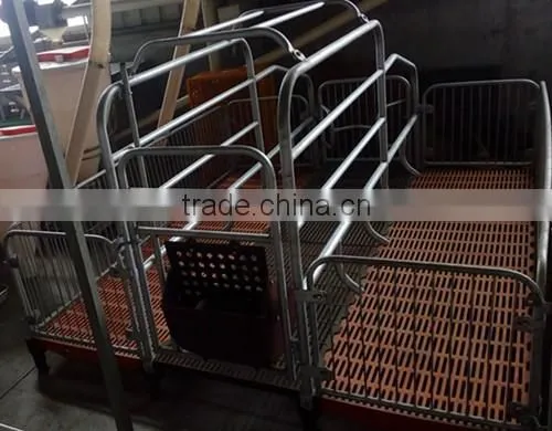 Goldenest High quality cheap price automatic farrowing crate for pigs sow sty farming equipment for sale