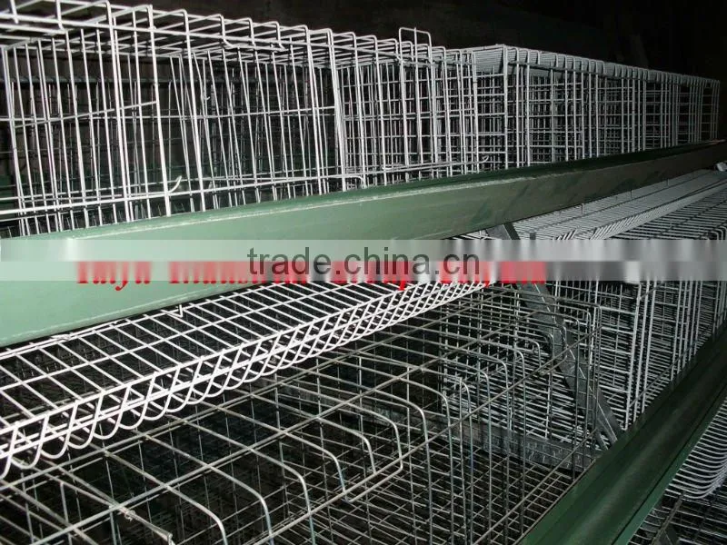 egg layers cage design