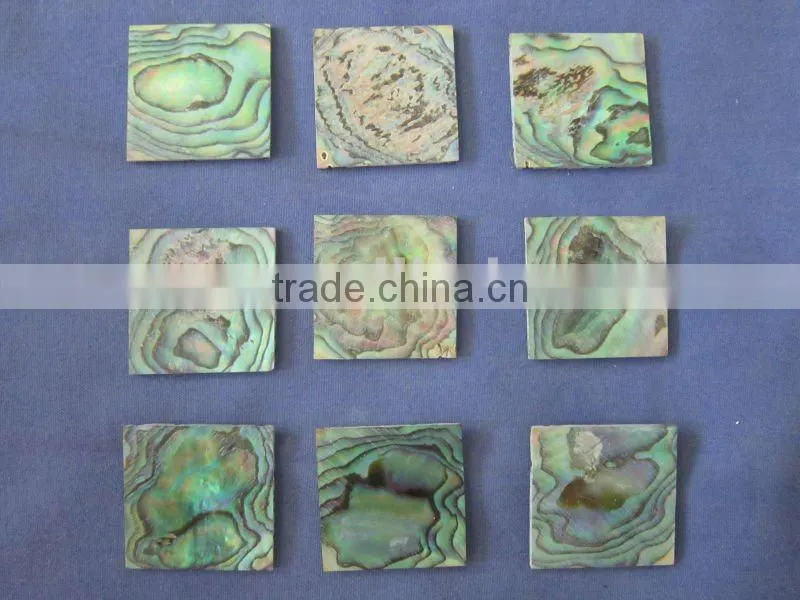 square cut thick abalone paua shell blank inlays
