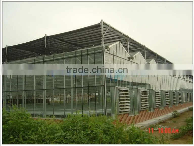 Float or tempered glass greenhouse(ISO9001:2000)