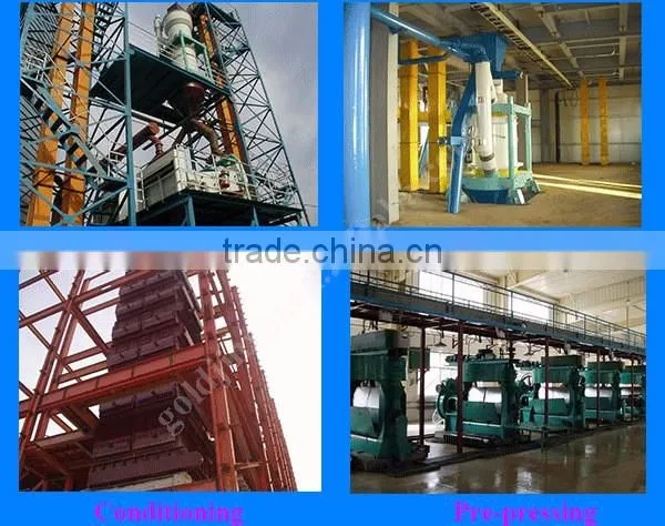 China High Quality Durable vegetable oil processing plant manufacturer