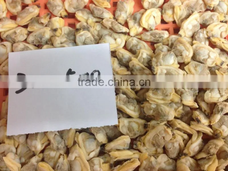 High quality frozen short necked clam meat