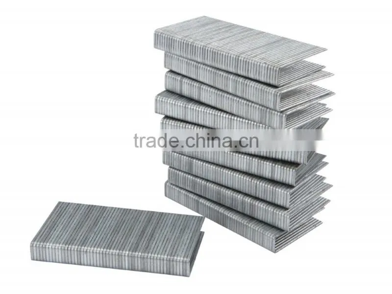 staple brad nail