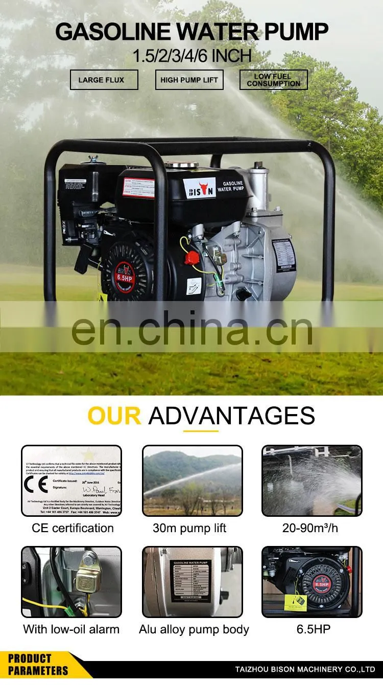 BISON WP20H 7hp 2 inch Gasoline High Pressure Mini Petrol Water Pump