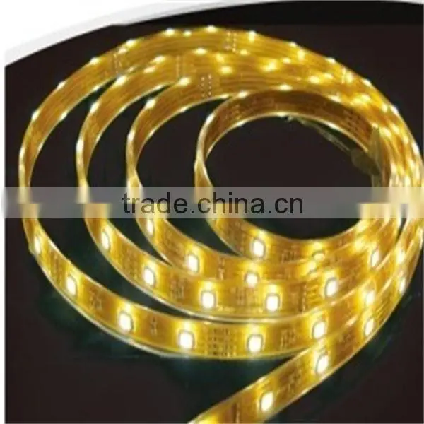 Double line smd5050 rgbw led strip light