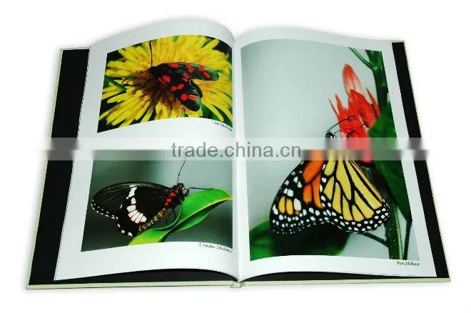 cheap popular catalog pringting&adult catalog printing
