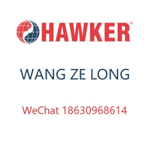 Hawker Battery Group Ltd company overview - view 1