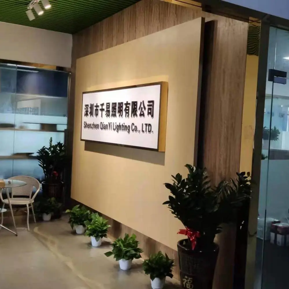 Shenzhen Qianyi Lighting Co., Ltd. company overview - view 1