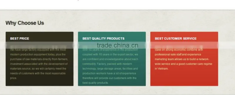 VietNam Black Pepper High Quality