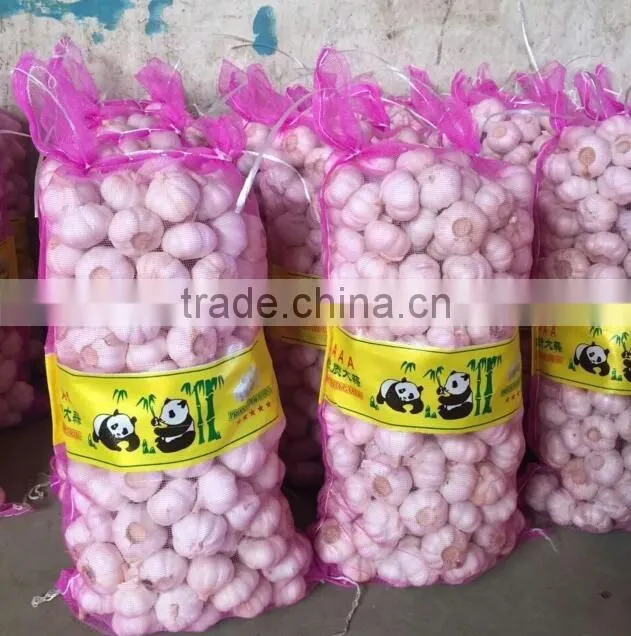 pure white garlic