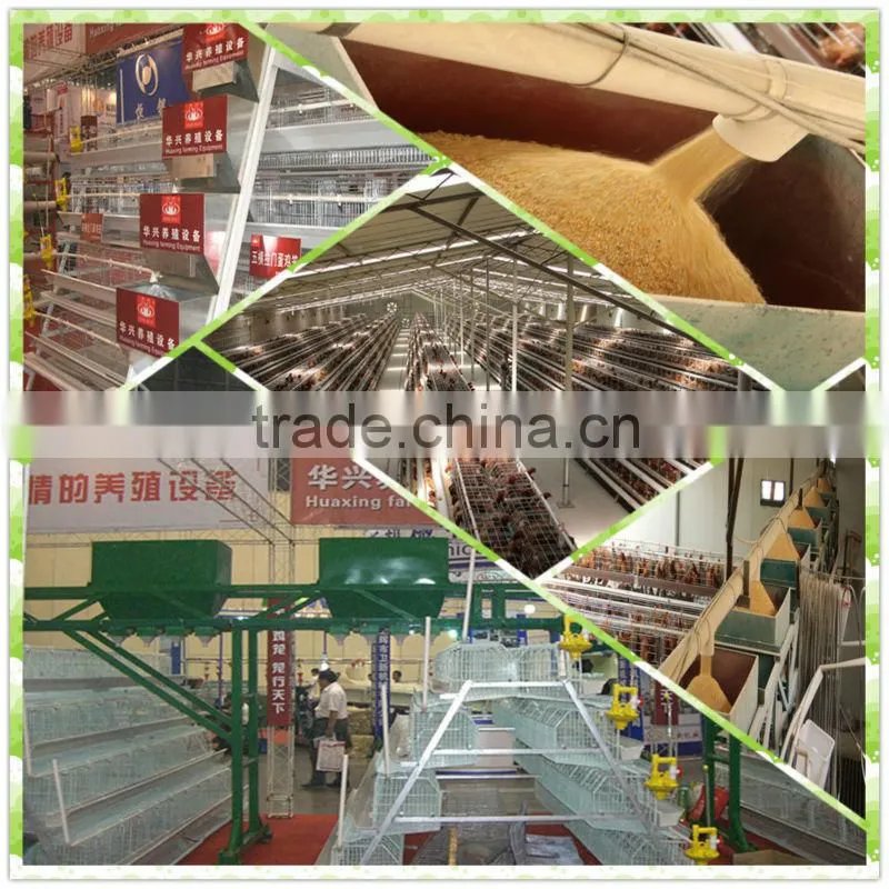 Used battery poulry broiler cage system for sale