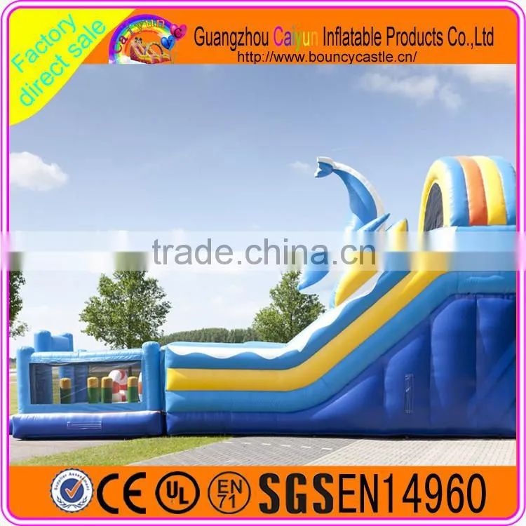 Blue Whale inflatable water slide