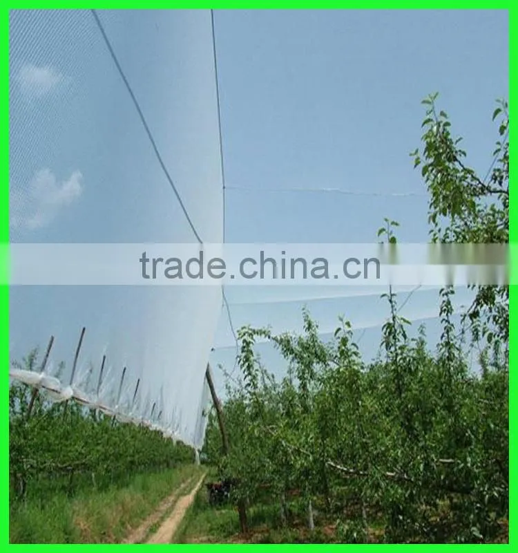 Small Mesh Hail Net,Pond Protection and Anti Butterfly Netting