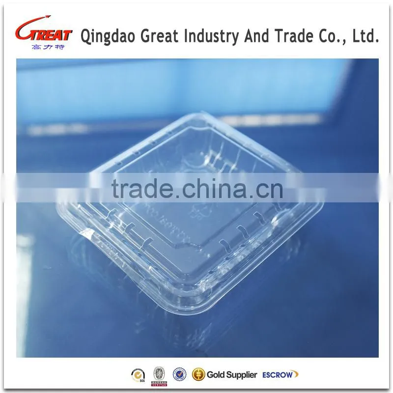 Good Quality Disposable Plastic blueberry fruit packaging container 125Gram
