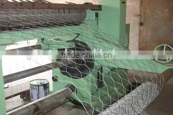 hot sale prime hexagonal wire mesh/ chicken wire mesh with low price