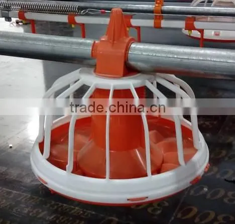 broiler ground raising equipment chicken house