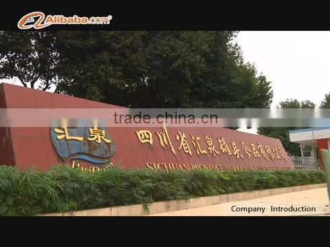 Sichuan Province Huiquan Canned Food Co., Ltd. company overview - view 1