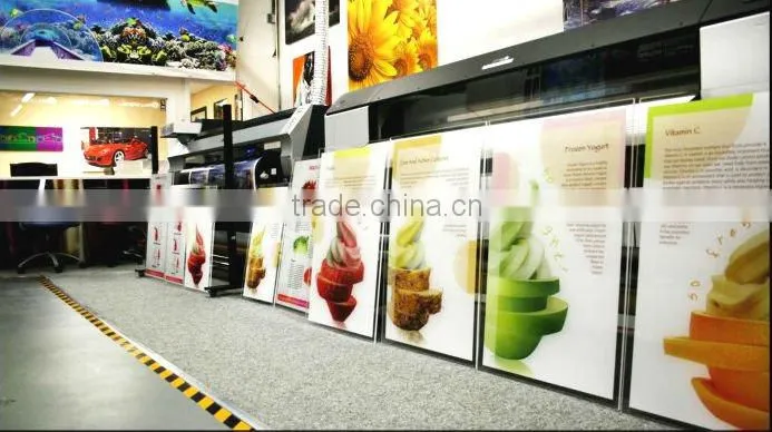 Digital Inkjet eco-solvent/ Textile T-shirt/glass/acrylic/pcv multifunctional Printing Machine