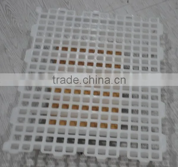 plastic poultry falt net for chicken house
