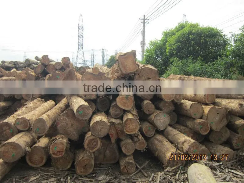 Rubber Wood from Viet Nam High quality