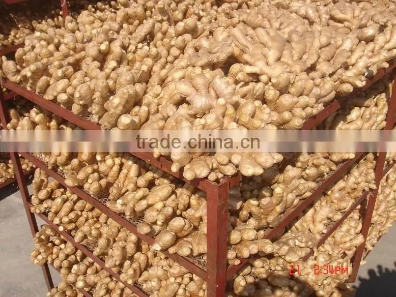 Fresh air dried Ginger