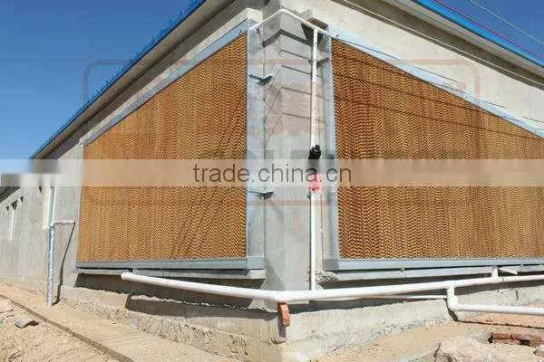 Goldenest Hot 24 Holes Chicken Egg Nest Box hens laying nests layer nesting boxes JCJ15-MA09