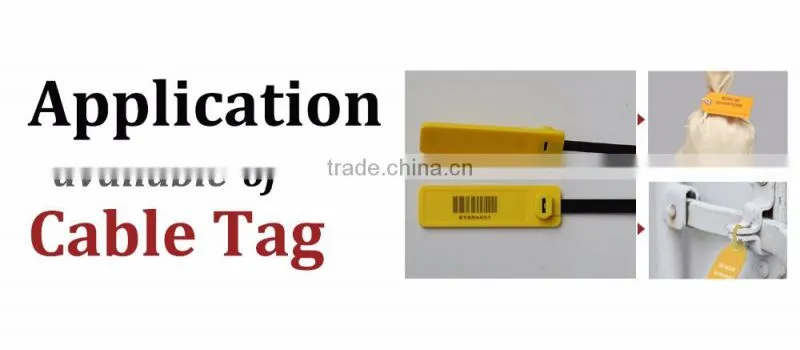 Warehouse Management Impinj Monza R6 UHF Cable Tie Tag