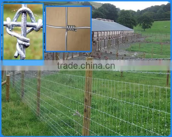 Cattle Fence Post