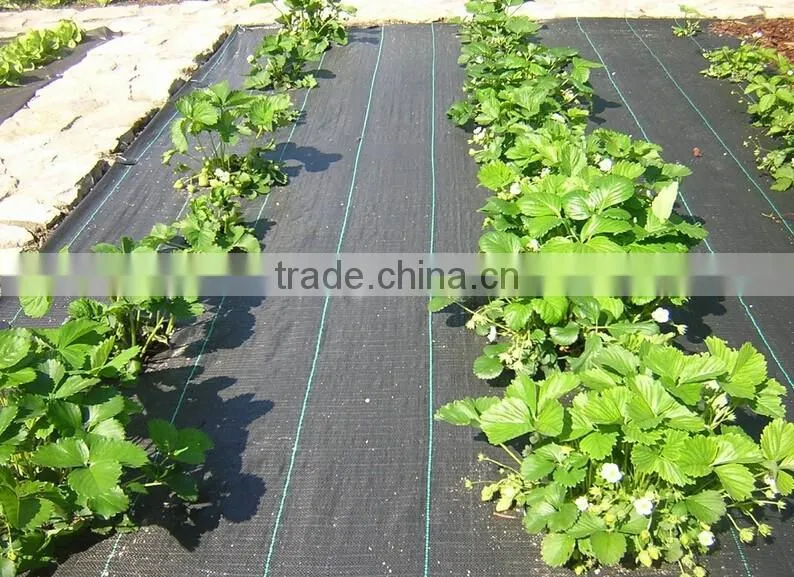 PP weed control mat