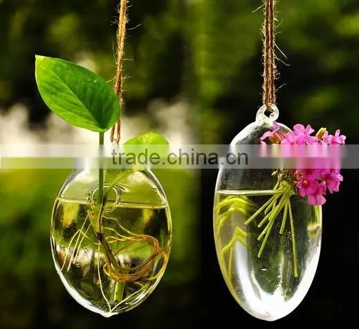 Hanging Glass Terrarium, Handblown Glass Terrarium