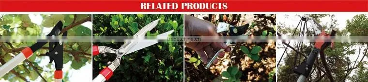 Mini garden tools include garden fork, garden trowel, transplanter, weeder