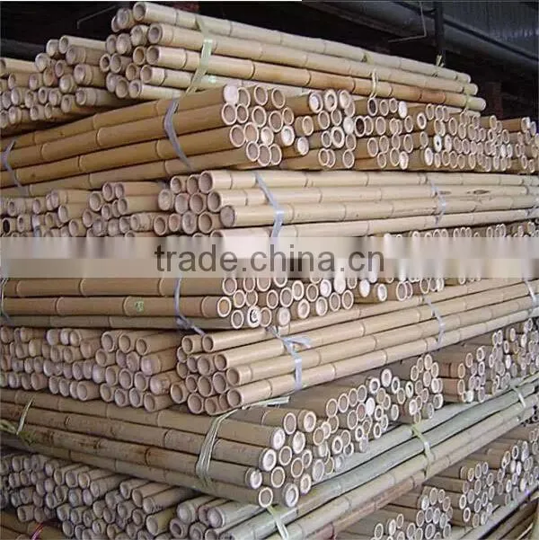 high quality garden bamboo canes