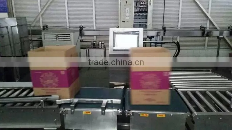 High Accurate micro belt check weigher