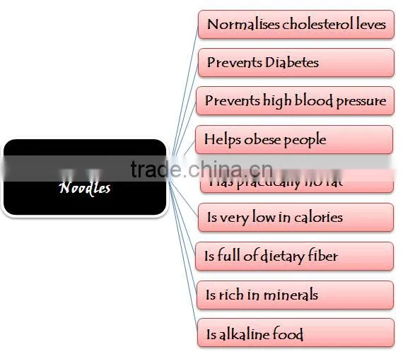 China manufacturer supply high quality low carb pasta