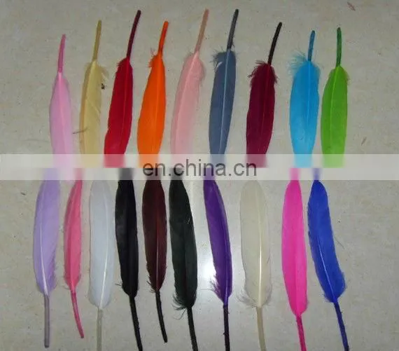 pheasant colorful feather, chicken feather