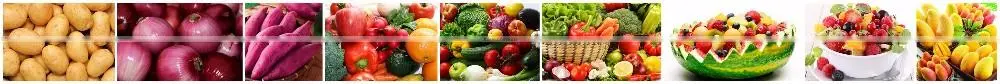 Food Z conveyer