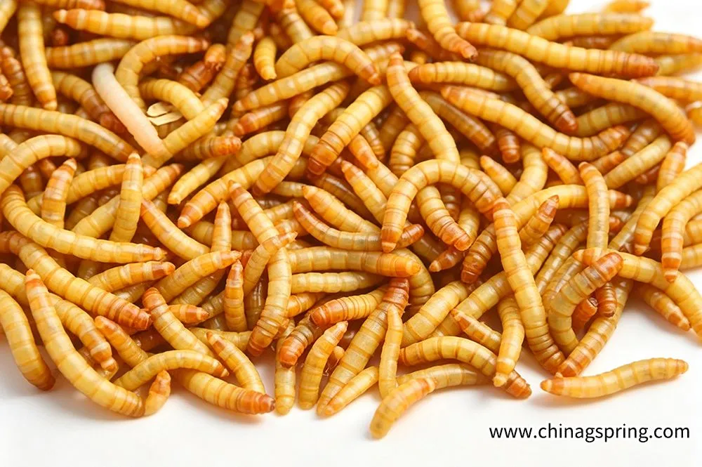 详情-12.jpg.webp
