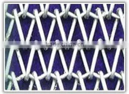 China conveyer belt netting