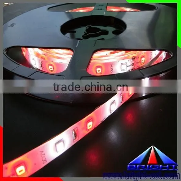 Two Color Whtie Red SMD 2835 LED Strip Light